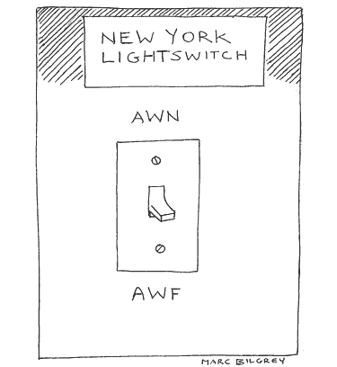 New York Lightswitch