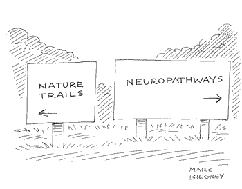 Nature Trails & Neuropathways