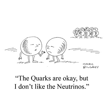 quarks & neutrinos
